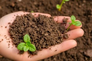 Soil Fertility, Management, and Conservation