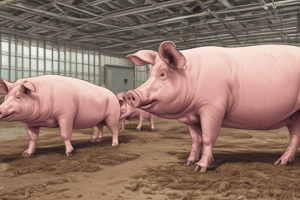 Recognizing Signs of Illness in Pigs and Biosecurity