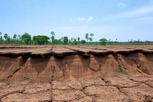 Deforestation & Agriculture Impact