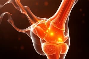 Synovial Fluid Examination & Joint Structure