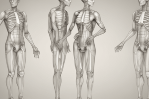 Hip Special Test Clarification