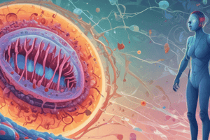 Varicelle - Processus Infectieux et Inflammatoires