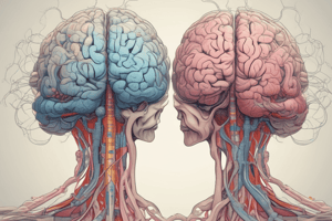 Anatomy of the Brain: Ventricular System and Cerebrospinal Fluid