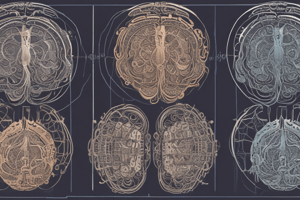 Early Theories of Brain Functioning