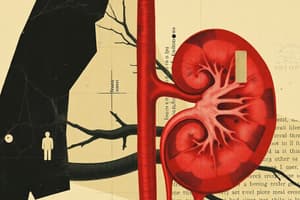 60. Physiology - Regulation of Glomerular Filtration and Renal Hemodynamics