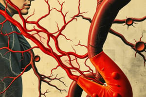 Blood Vessels. Structure and Function Quiz