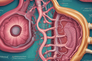 TEMA 2: Clasificación de Gastritis en Patología Digestiva