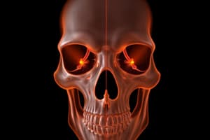 Lateral Facial Bones Imaging Quiz