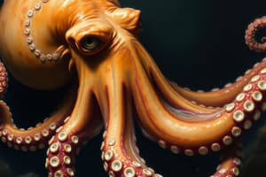 Octopus Hunting Strategies and Leadership