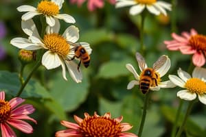 The Busy Bee: A Garden Adventure