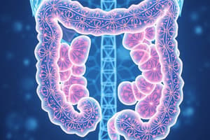 Workup for Colon Cancer Investigations