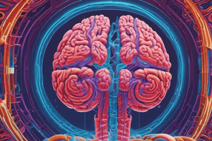 MRI Brain Imaging Basics Quiz