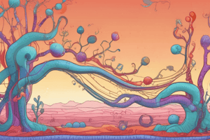 Cellular Respiration Process