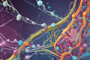 Protein Synthesis in Biology