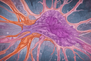 Histology Tissue Preparation