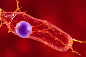 Biologie: Pinocytose et Endocytose