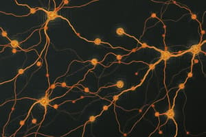 Neuroscience Quiz: Action Potentials and Neurons