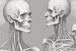 Anatomy Terminology Quiz