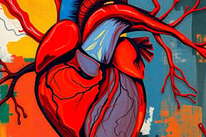 Cardiovascular System Overview