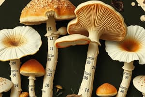 Fungi Classification and Structure Quiz