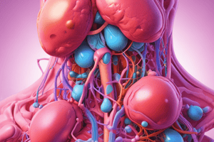 Endocrine System and Hormones Quiz