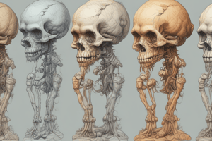 Board Pop Quiz: Evidence for Evolution (04/23/24)