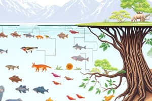 Food Chains and Food Webs Quiz