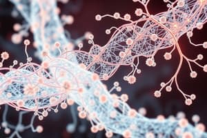 Sliding Filament Theory Overview