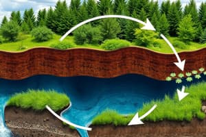 CH4_1_The Carbon Cycle