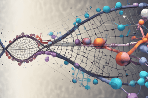 Protein Synthesis and Heredity