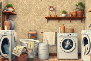 Laundry Washing Techniques