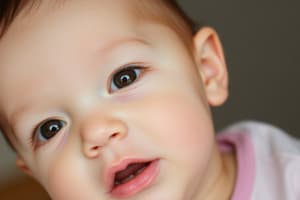 Face Preference and Recognition in Infants