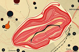 Biology Flashcards Chapter 5-8