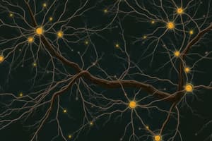 Neurons and Glial Cells Overview