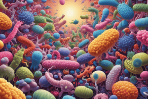 Bacteroides: Key Player in the Gut Microbiome