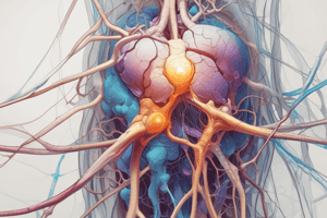 Ion Channels and Neurotransmission