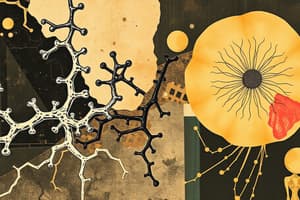 Biochemistry: Fibrous Proteins - Collagen Types