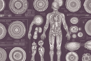 Easy10_Introduction to Anatomy & Physiology Quiz