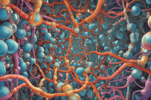 ATP-Driven Pumps in Cellular Transport