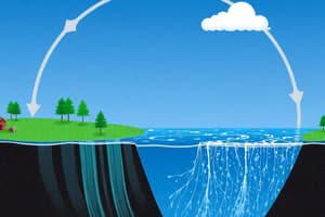 The Water Cycle Quiz