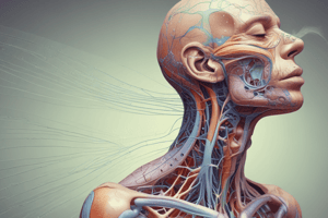 Respiratory System: Nose Function and Cilia