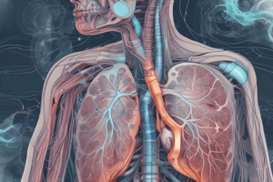 Respiratory System Overview Quiz