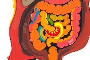 Occlusions Intestinales Aiguës (OIA)