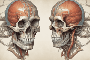 Anatomía comparada: Estructuras craneales y caudales