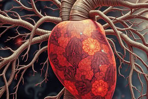 Cardiac Nerves and Refractory Periods