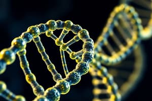 Molecular Biology and DNA Structure Quiz