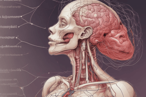 Anatomy and Physiology of the Reproductive System: Chapter 3