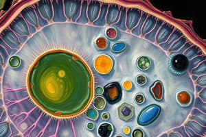 Plant Cell Structure and Functions