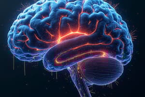 Guyton and Hall Physiology Chapter 58 - Cerebral Cortex, Intellectual Functions of the Brain, Learning, and Memory
