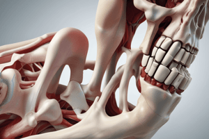 Calcaneus Lateral Surface Anatomy